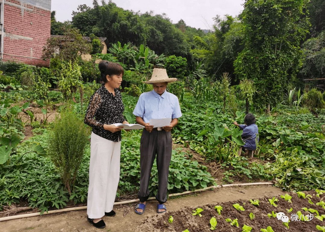 爱游戏-雄鹿发起慈善活动助力当地社区脱贫攻坚的简单介绍  第2张